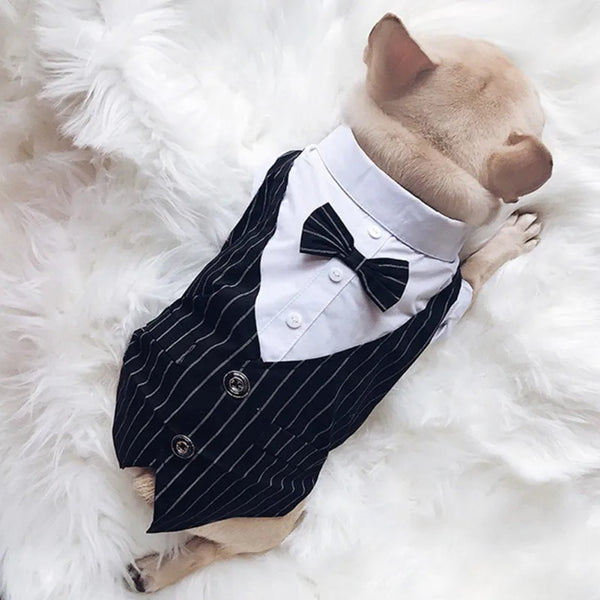 Formal Tuxedo Pet Outfit