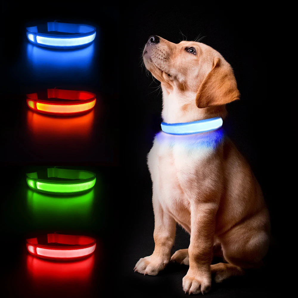 Luminous Pet Collar