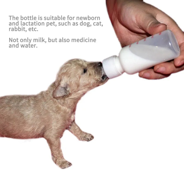 Puppy Kitten Bottle Feeder Set