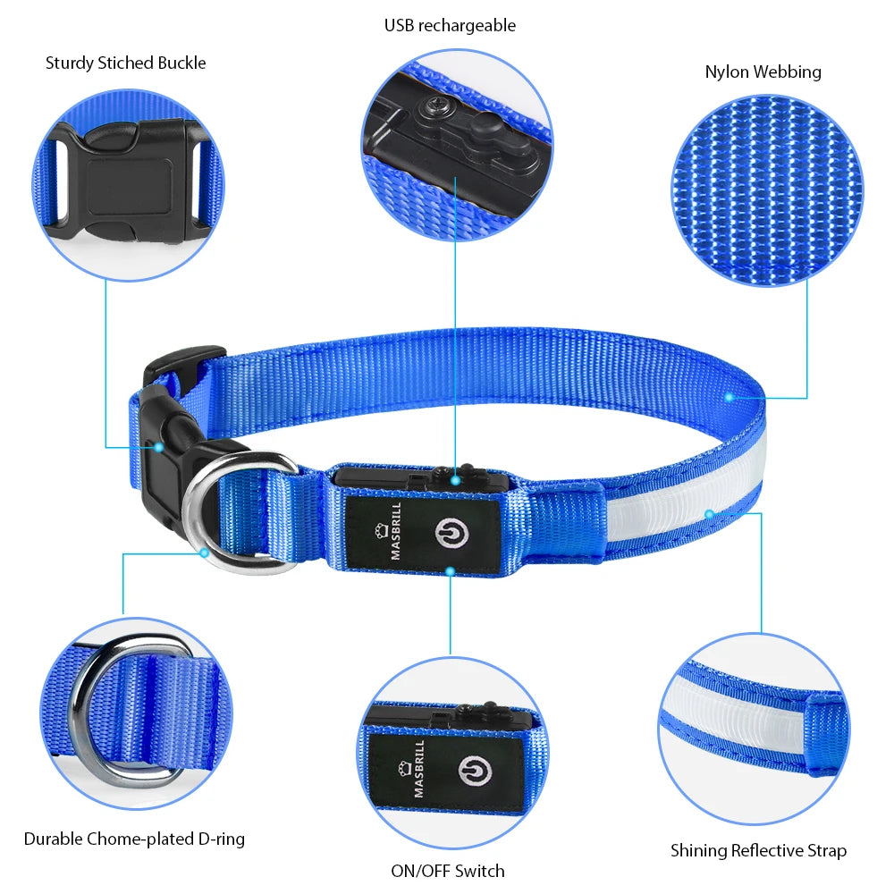 Luminous Pet Collar