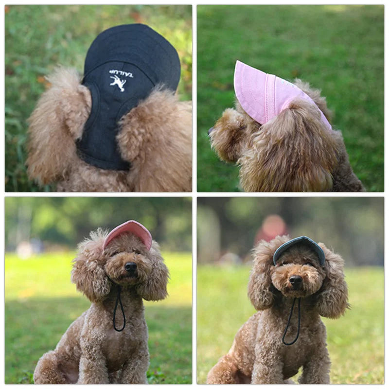 Pet Oxford Visor Hat