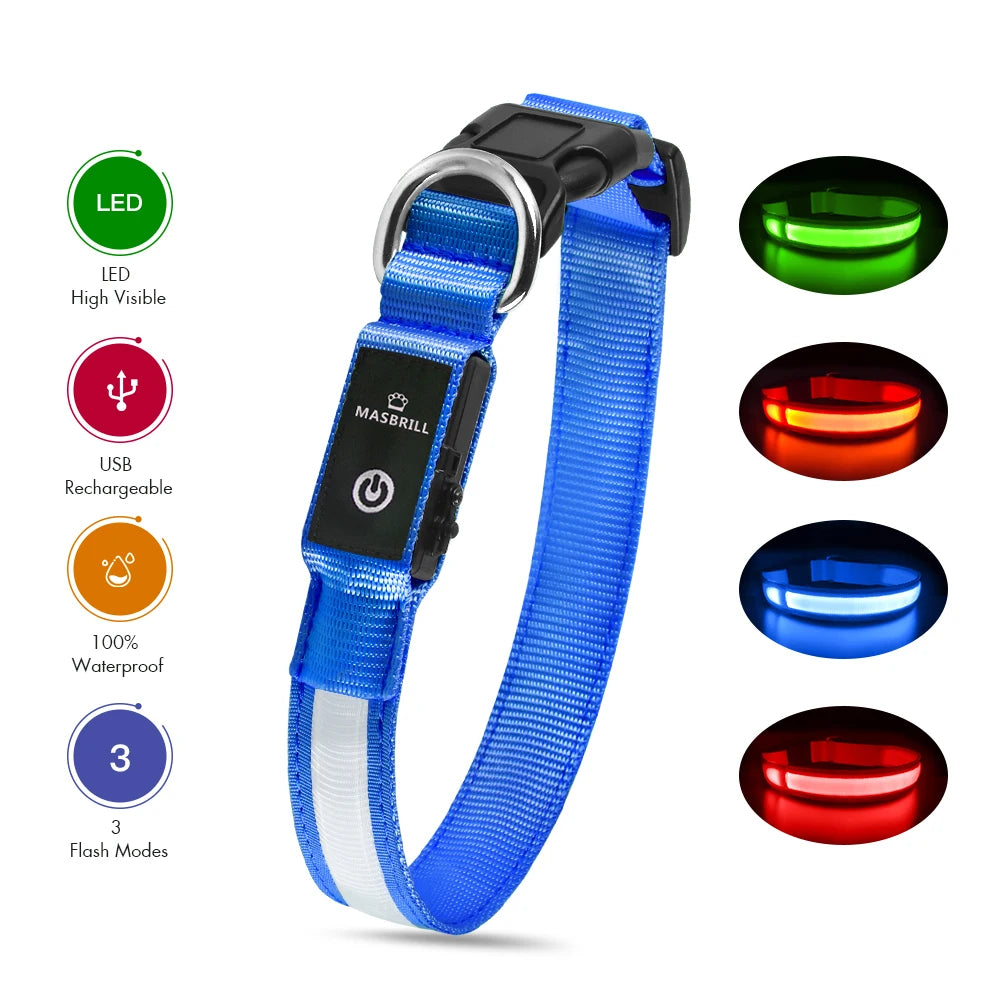 Luminous Pet Collar