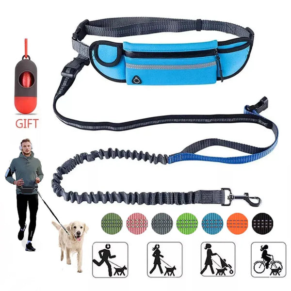 Nylon Waist Dog Leash