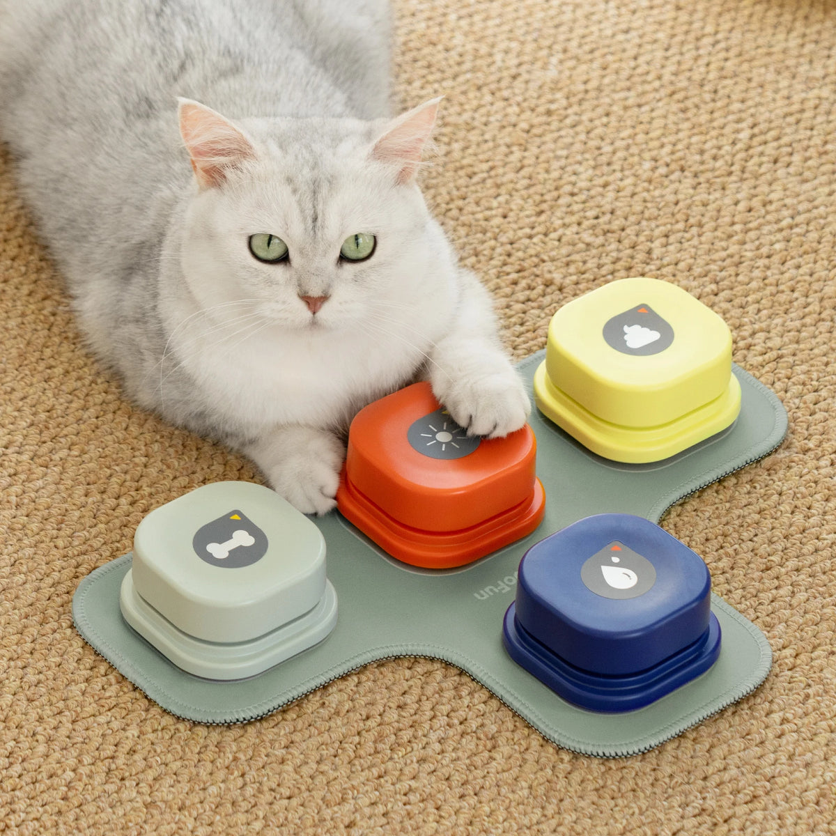 Pet Communication Buttons