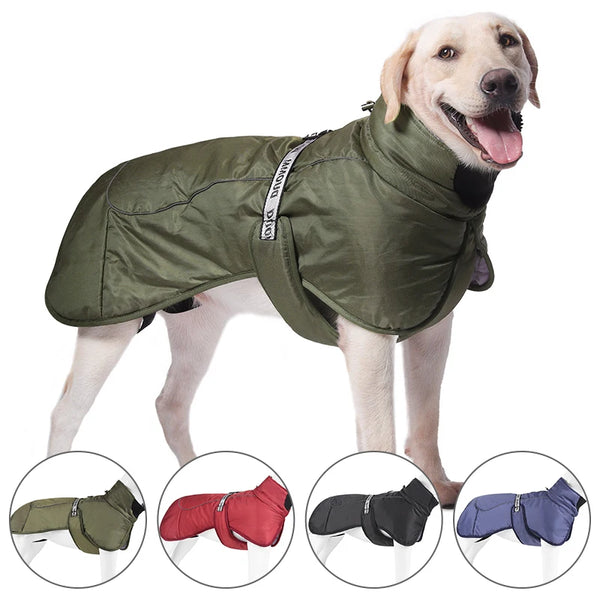 Large Dog Windproof Jacket