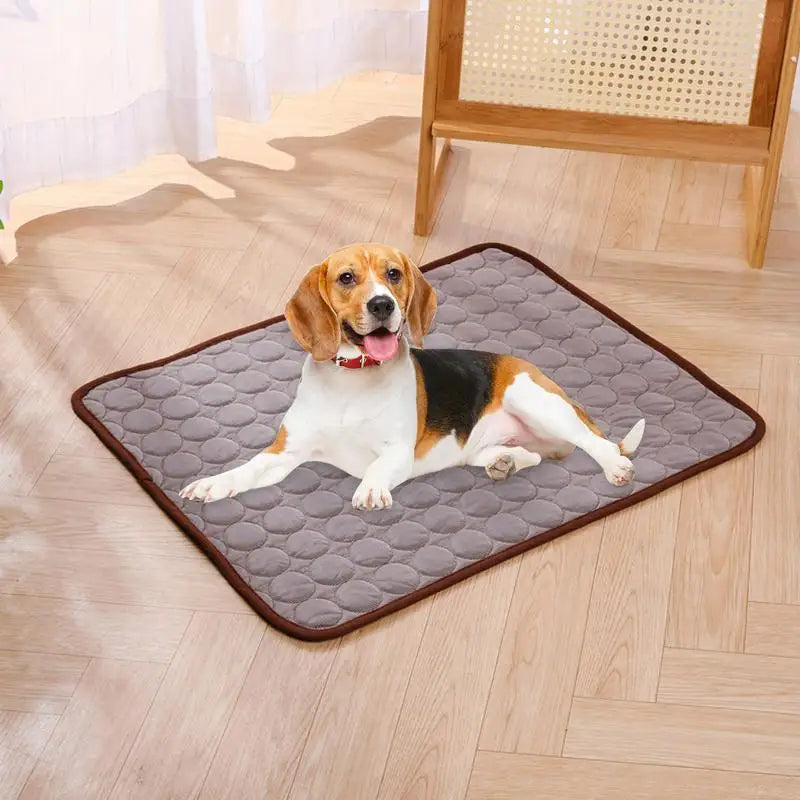 Cooling Summer Pet Mat