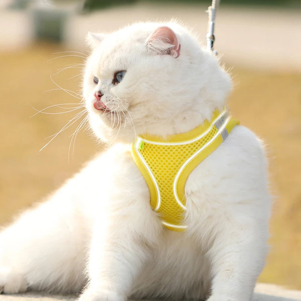 Reflective Pet Harness