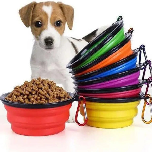 Collapsible Outdoor Pet Bowl