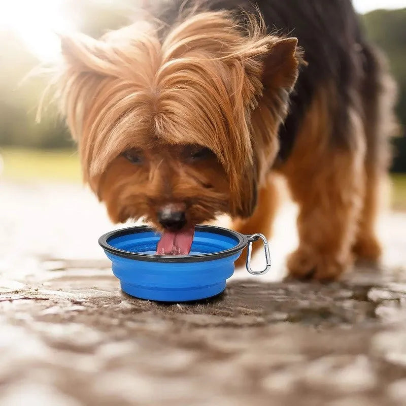 Collapsible Outdoor Pet Bowl