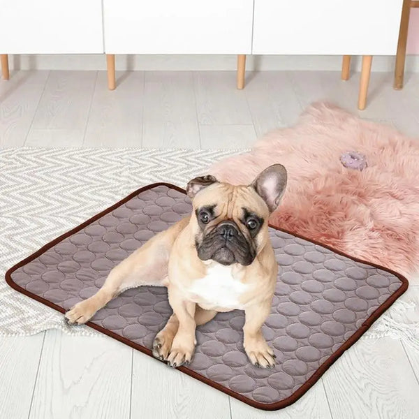 Cooling Summer Pet Mat