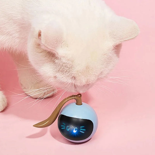 LED Interactive Cat Toy