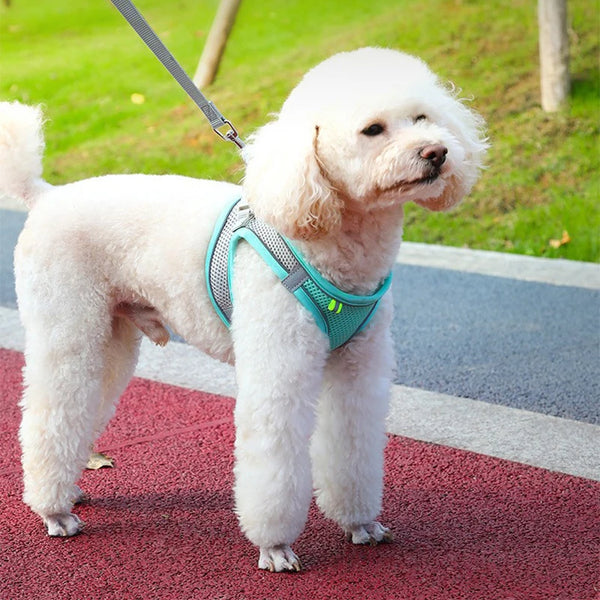 Reflective Pet Harness