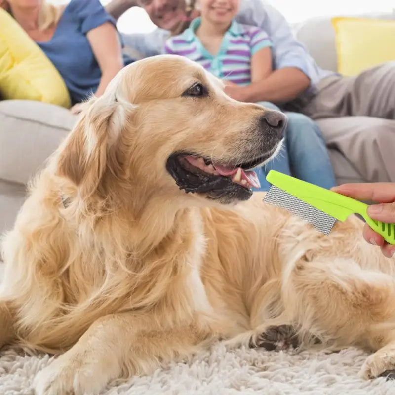 Pet Grooming Comb Set