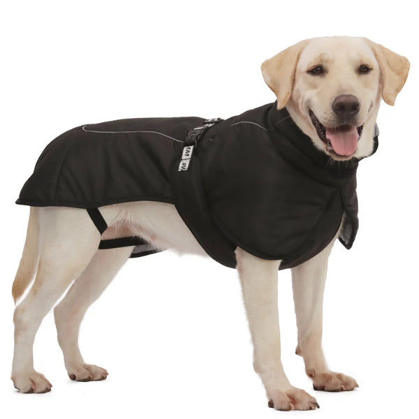 Large Dog Windproof Jacket