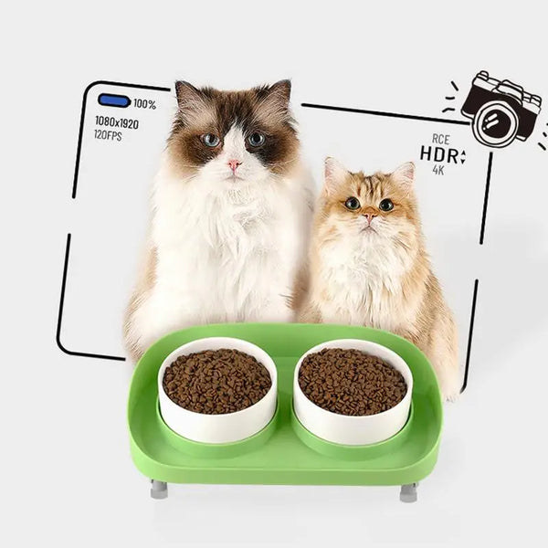 Ergonomic Raised Pet Bowls