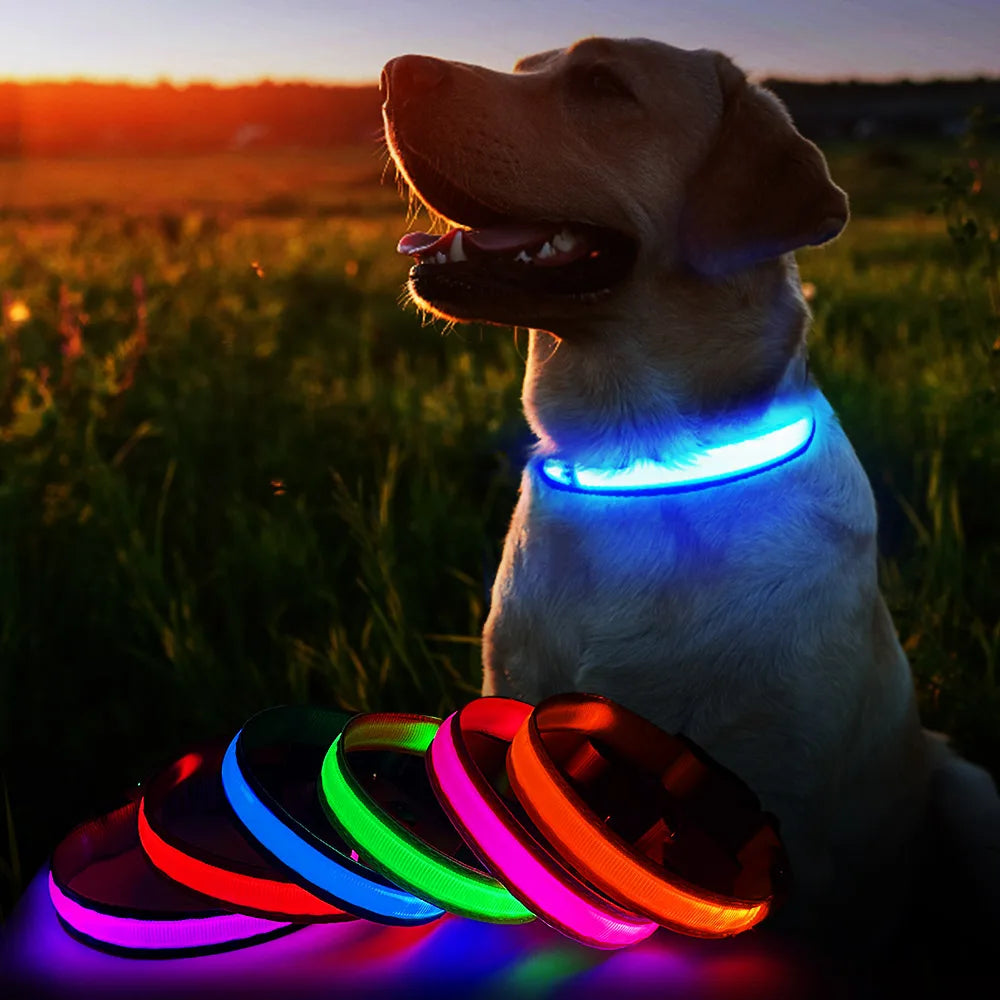 Luminous Pet Collar