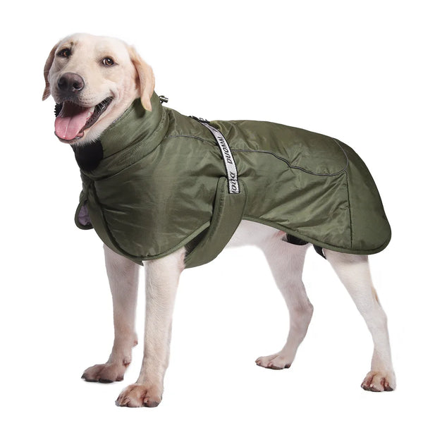 Large Dog Windproof Jacket