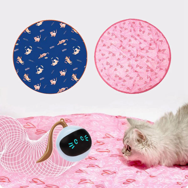 LED Interactive Cat Toy