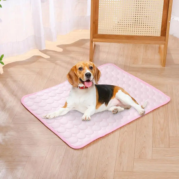 Cooling Summer Pet Mat