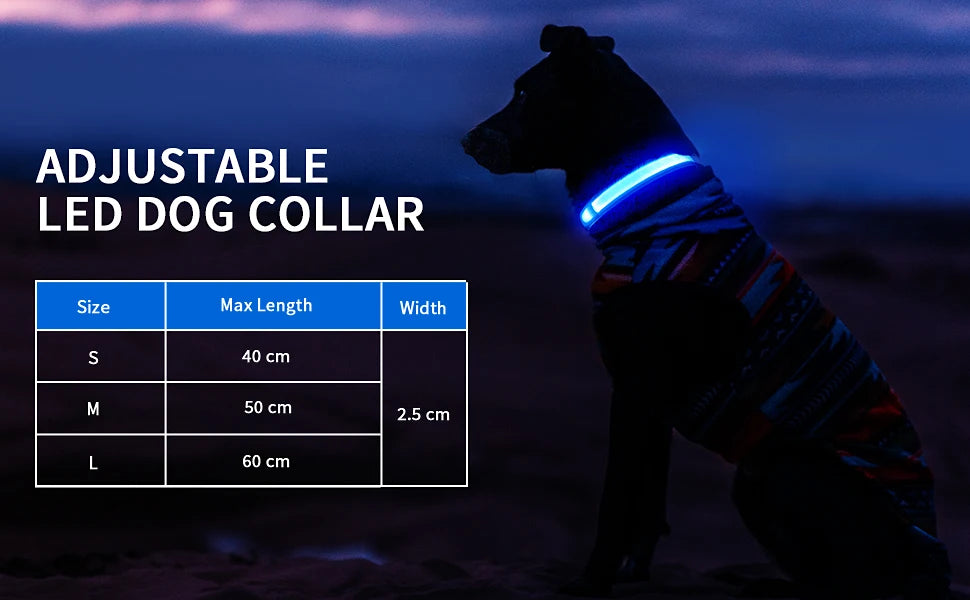 Luminous Pet Collar