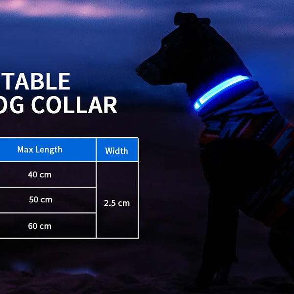 Luminous Pet Collar