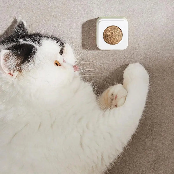 Catnip Ball For Cats