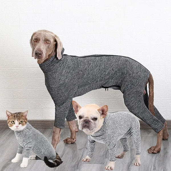 Pet Recovery Jumpsuit